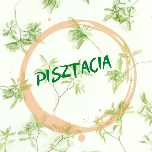 Pisztácia Konyhája